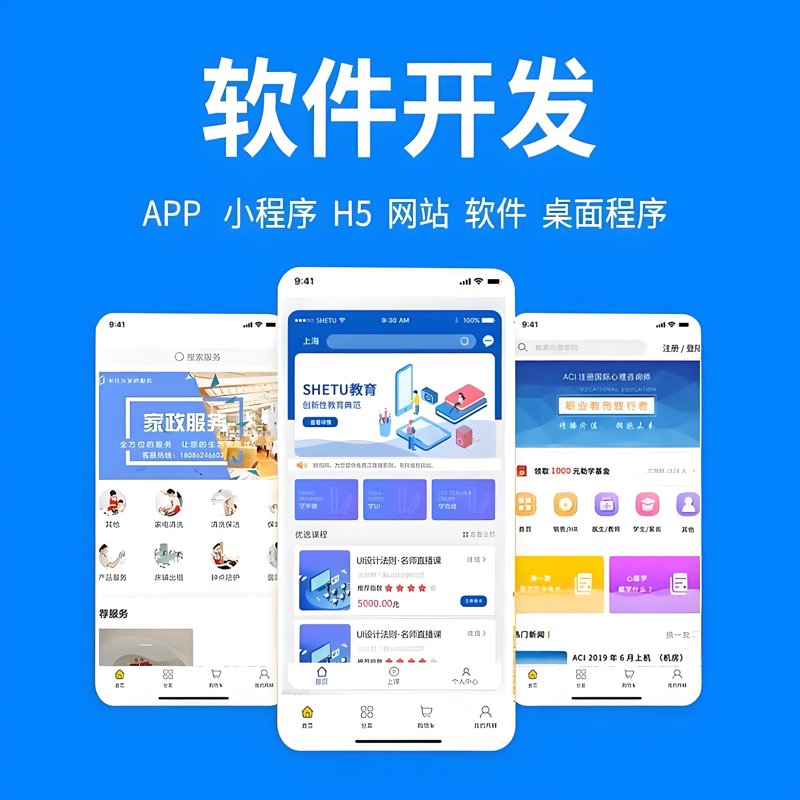 定制软件开发：助力企业高效成长